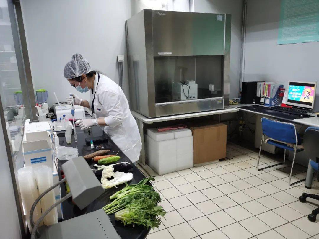 宁河食品检测实验室装修方案